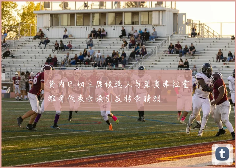 费内巴切主席候选人与莱奥弗拉霍维奇代表会谈引发转会猜测